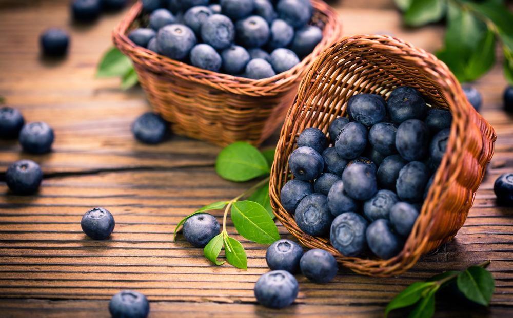 when are blueberries in season