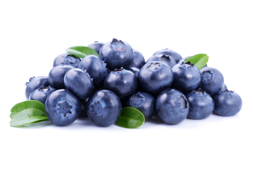 when are blueberries in season