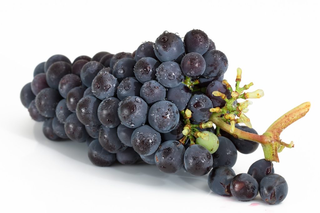 are grapes citrus food