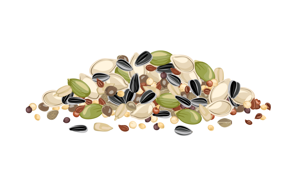 lightly salted pumpkin seeds