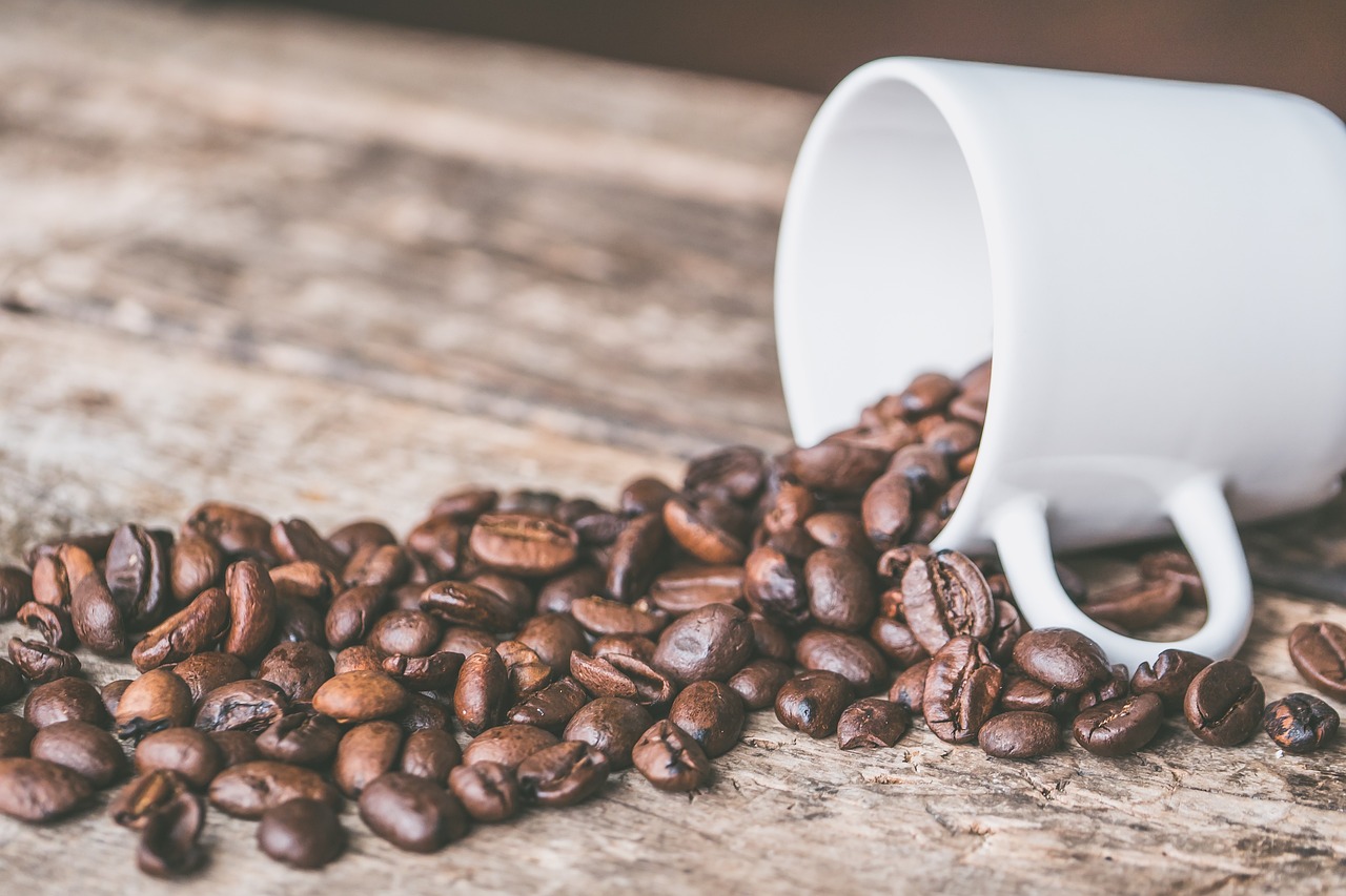 chocolate covered coffee beans