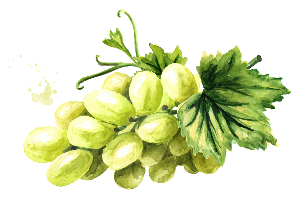 grapes nutrition