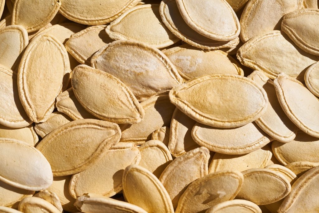 lightly salted pumpkin seeds