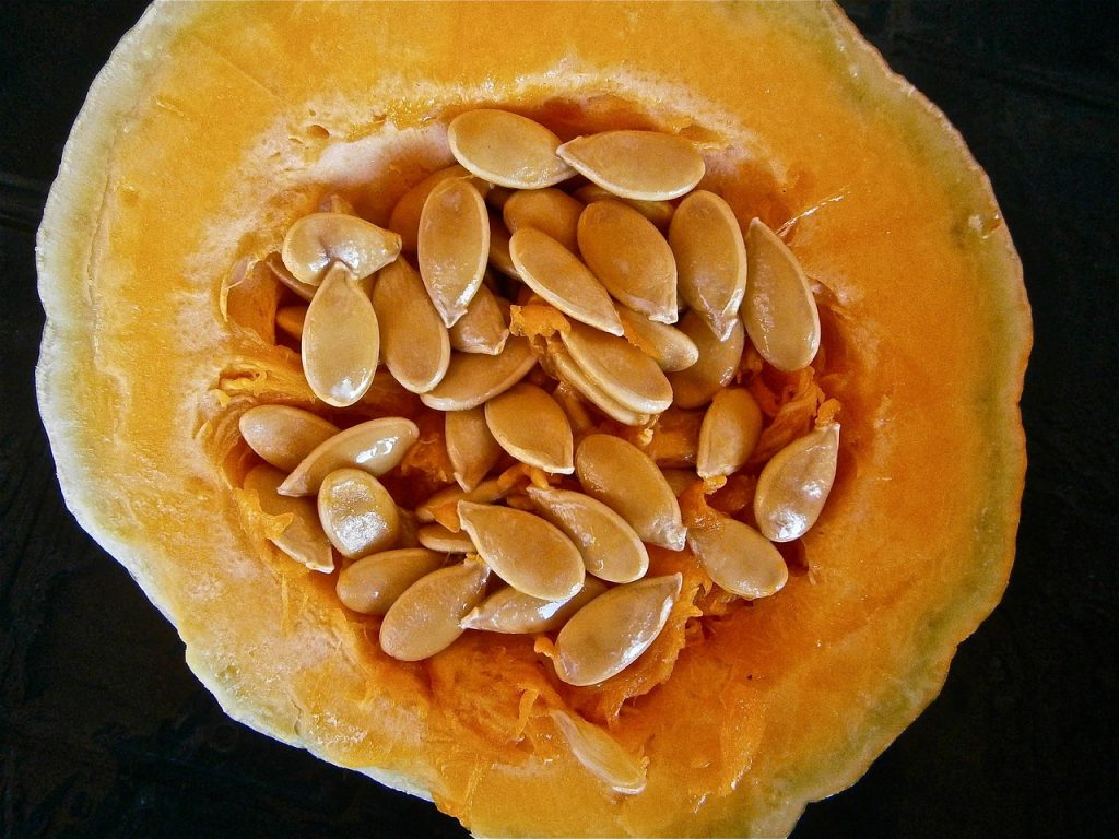 lightly salted pumpkin seeds