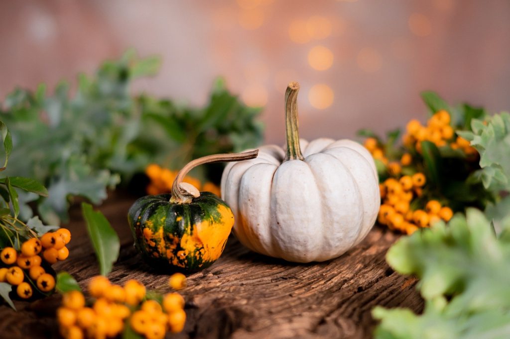 lightly salted pumpkin seeds