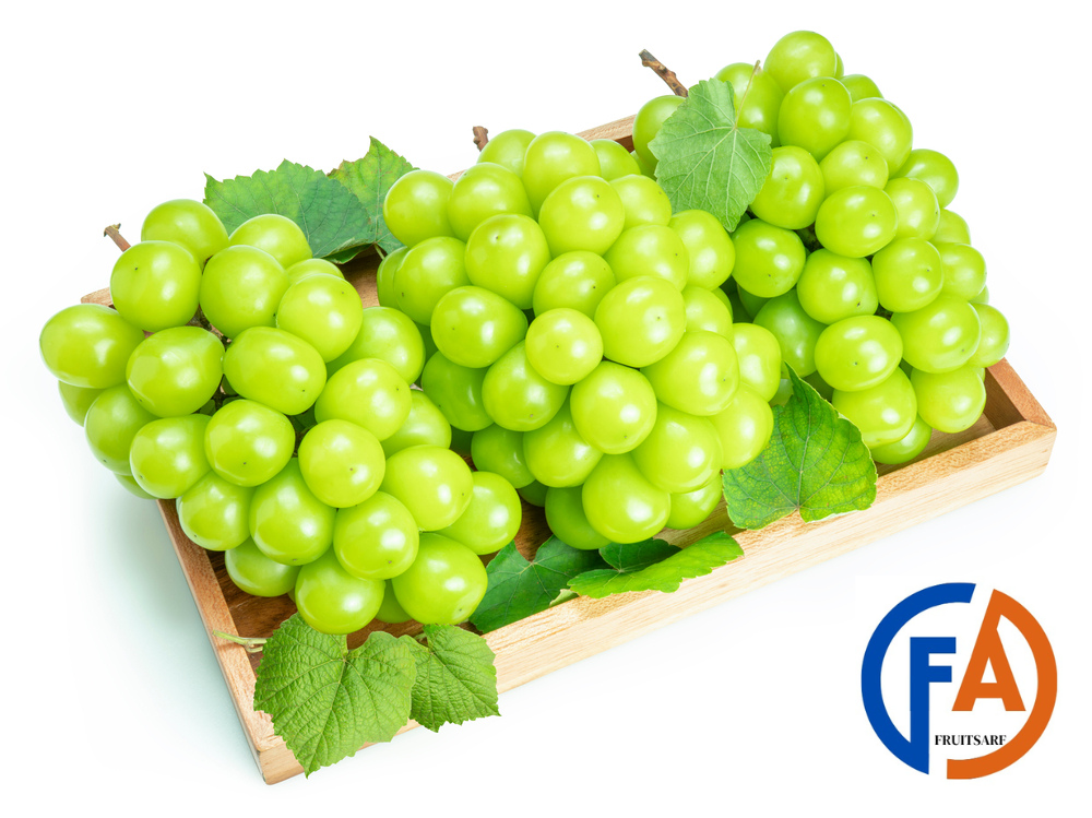 shine muscat grapes