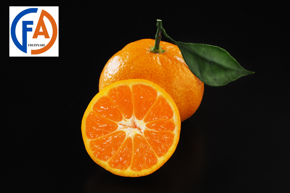 mikan orange