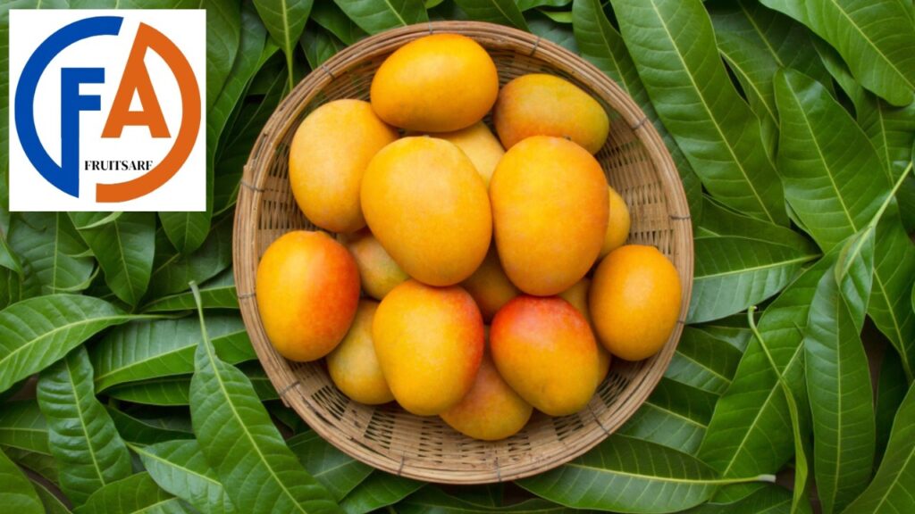 Ataulfo mangoes