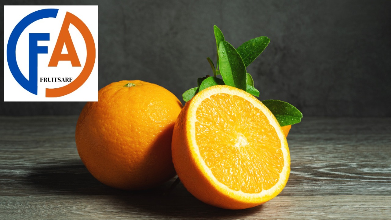 Navel Orange